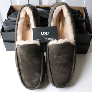 UGG ASCOT SUEDE SLIPPERS - NEW IN BOX - MEN'S 13